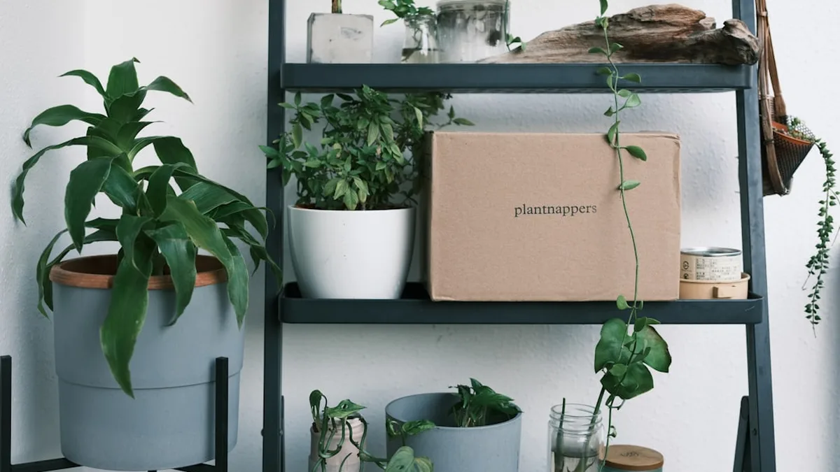 Idée cadeau jardinage