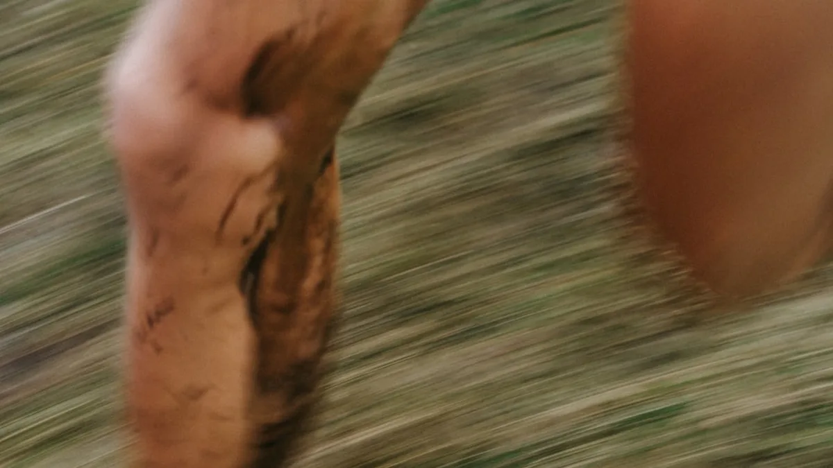 Comprendre ce qui se passe dans mes jambes