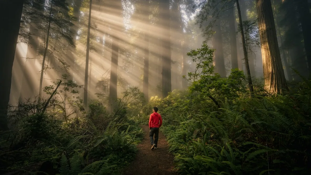 Ce que la nature fait à la tête