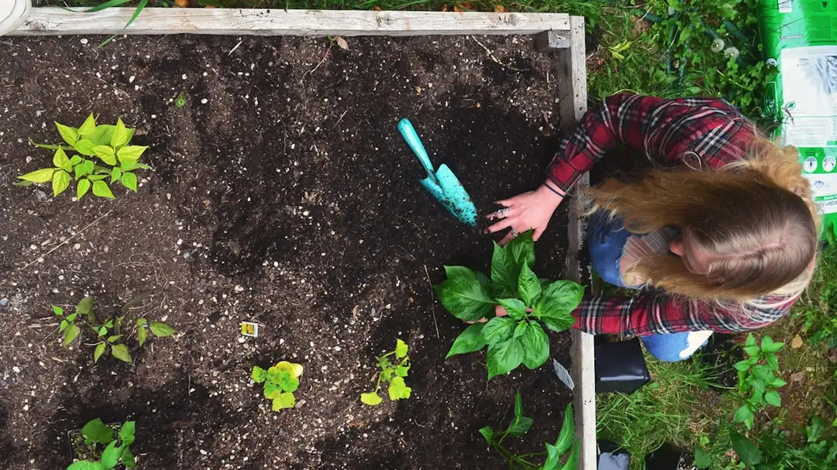 Comment fabriquer un potager sur pied avec des palettes