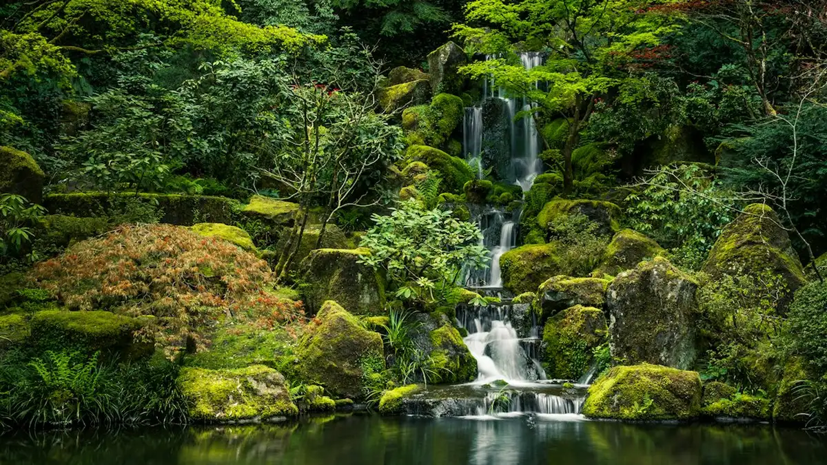 Quelle plante pour un jardin japonais