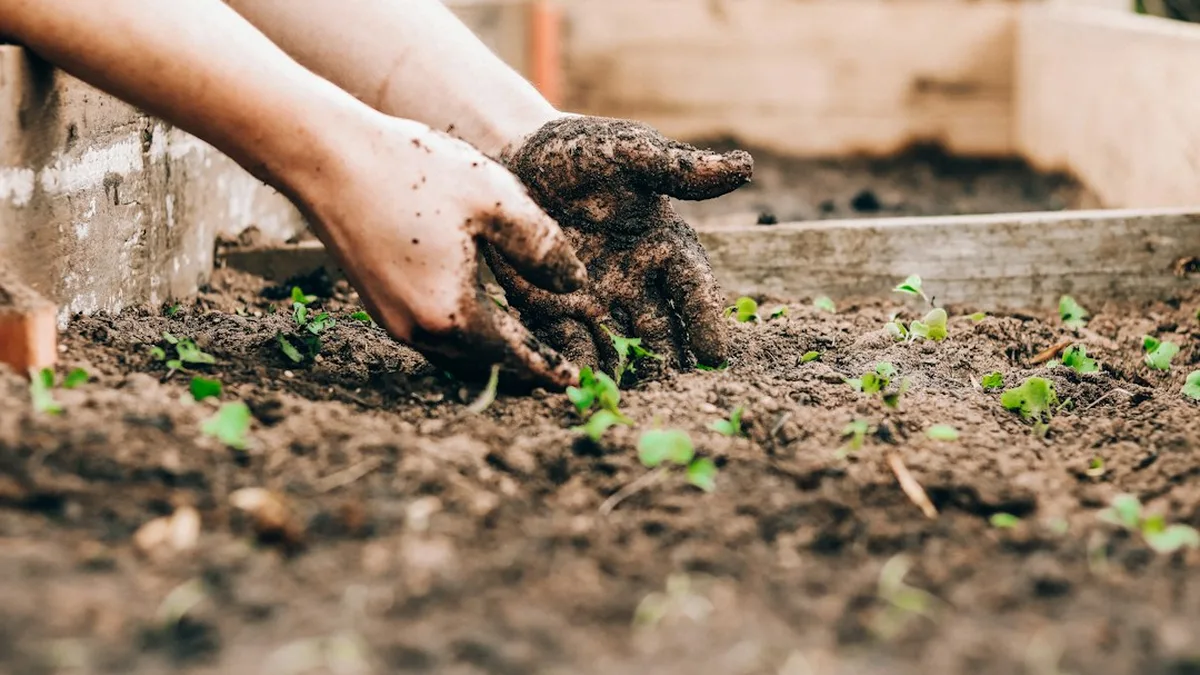 Ce qui coince concrètement au jardin
