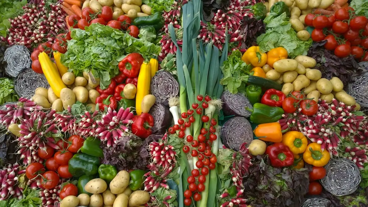 Rotation des cultures au potager